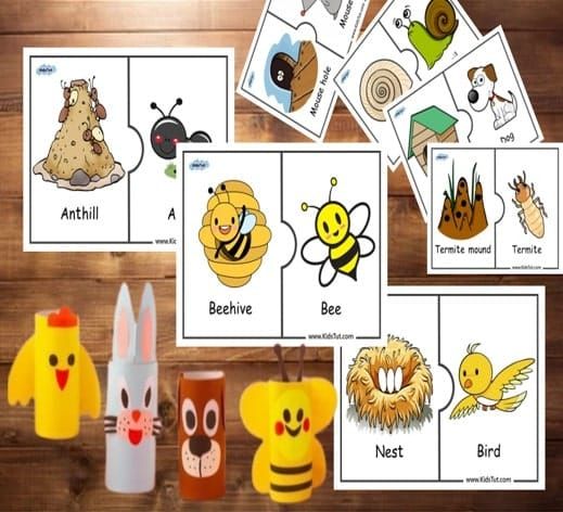 20 Flashcards of Animals and their homes for kids