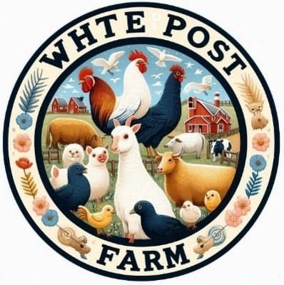 White Post Farm: A Fun Day at the Farm for Kids!