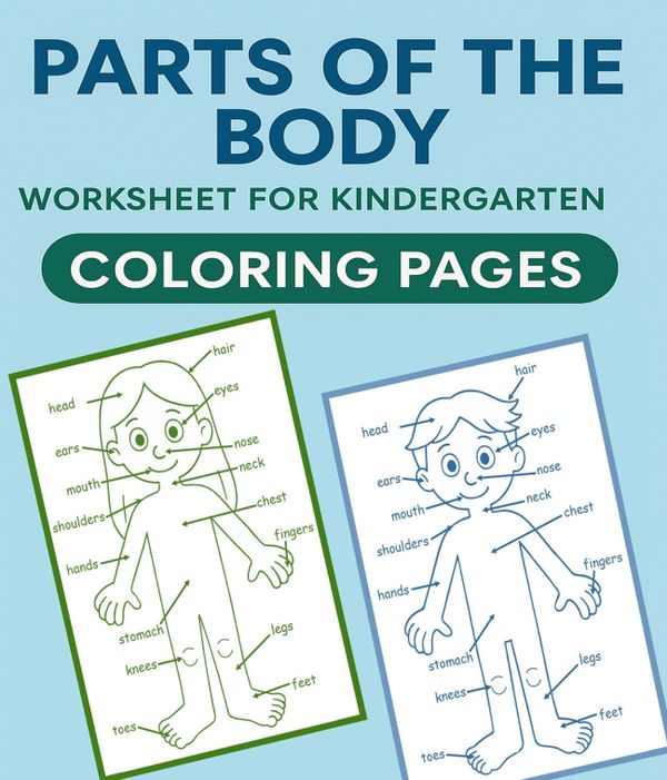 Parts of the Body Worksheet for Kindergarten