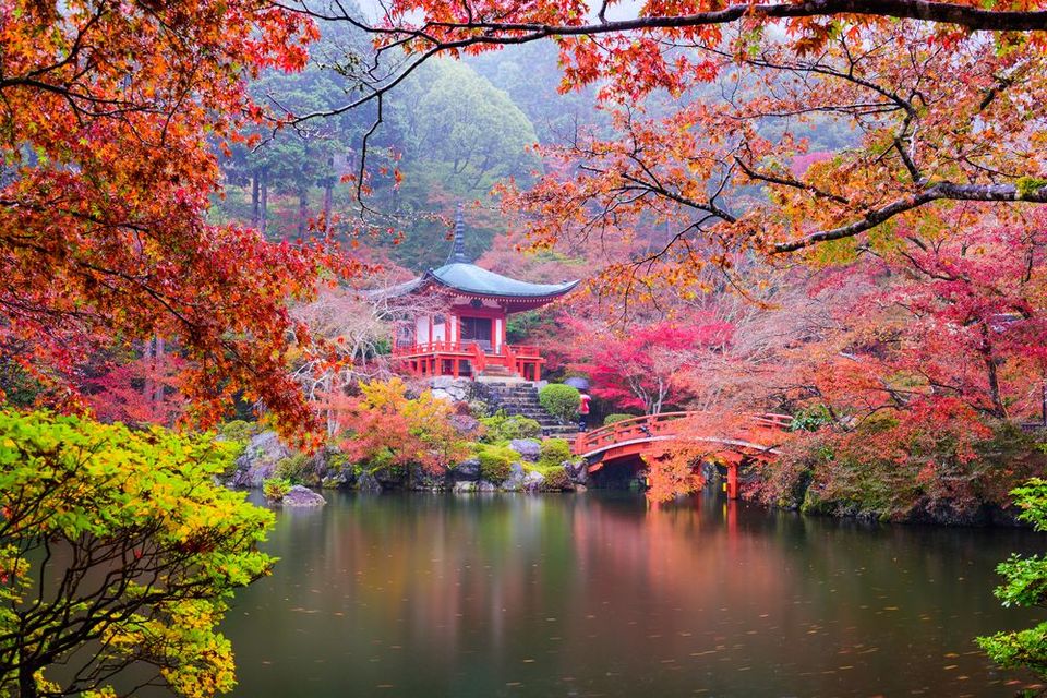 A Japanese building on a river surrounded by a colorful forest.