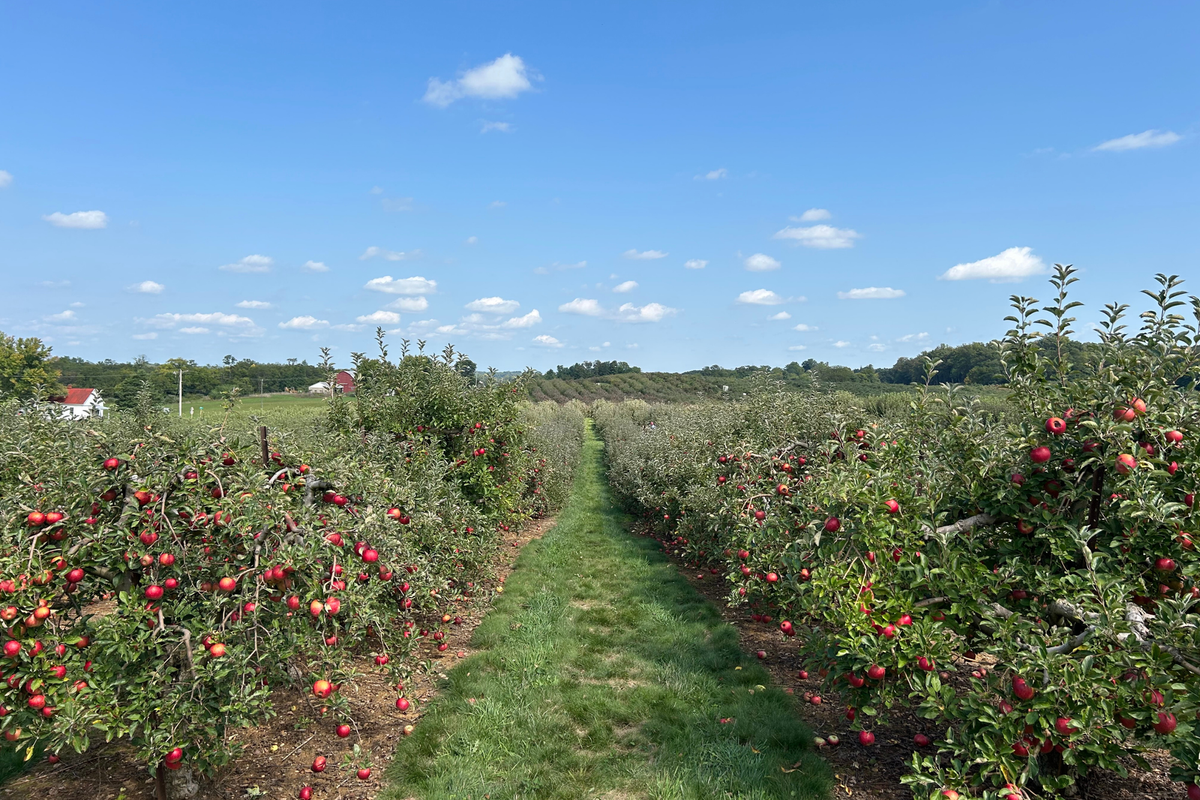 “Be the love you long for” by John Sayers