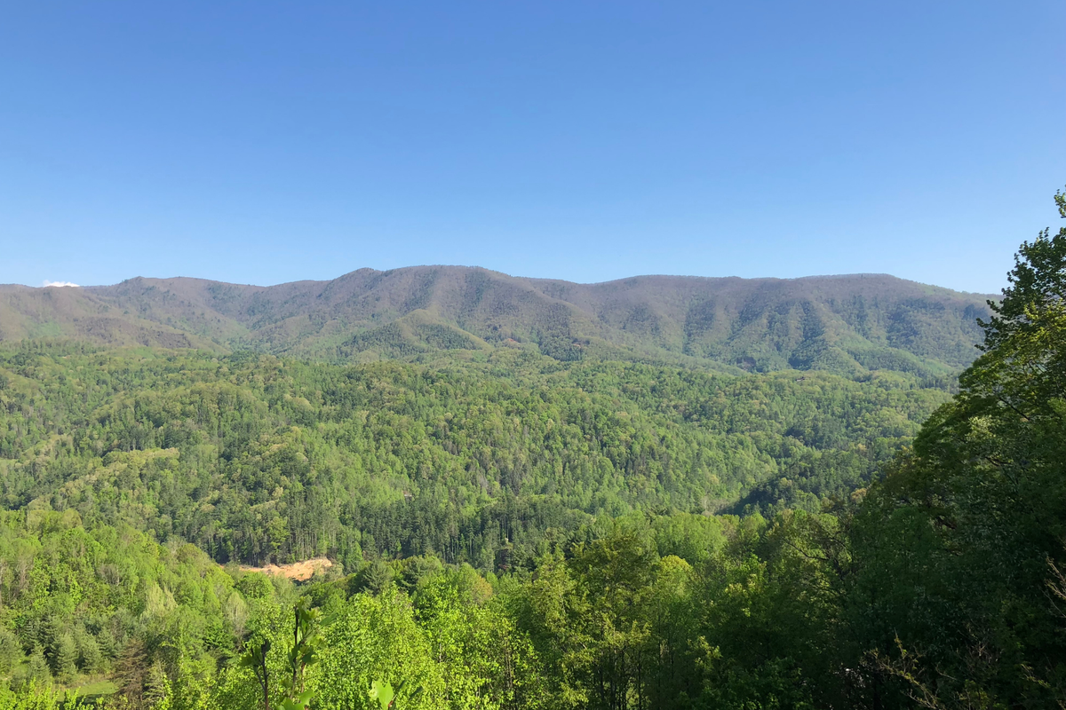 Oh, for a simple life…