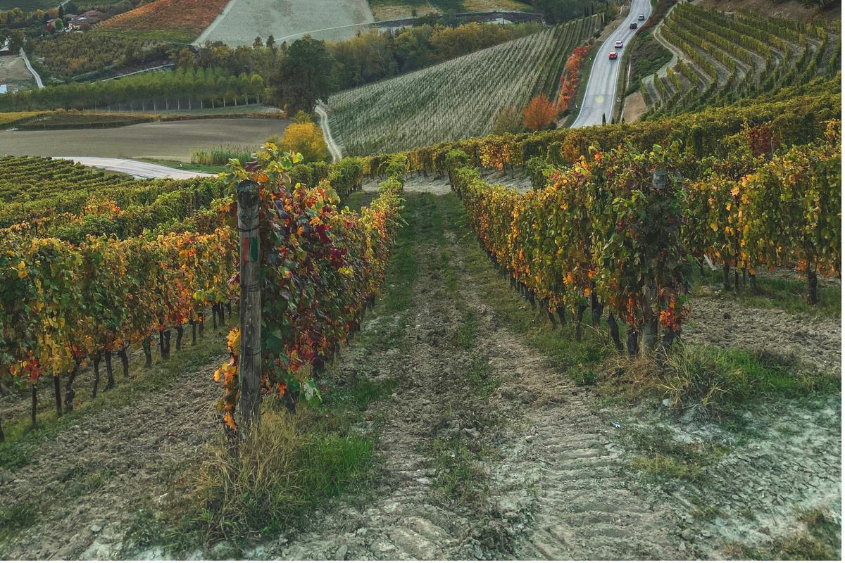 My spiritual journey with Parkinson's