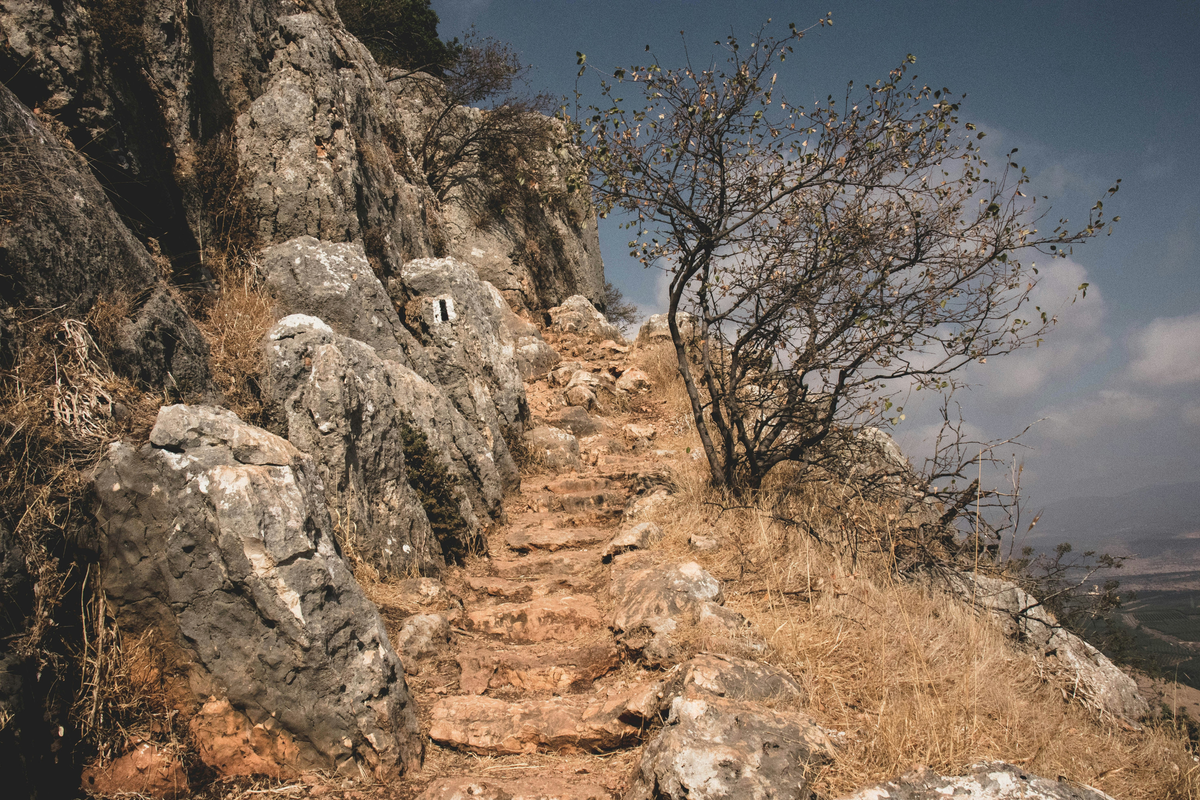 "Striving" by John Sayers