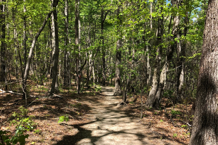 Create a happiness strategy for your life