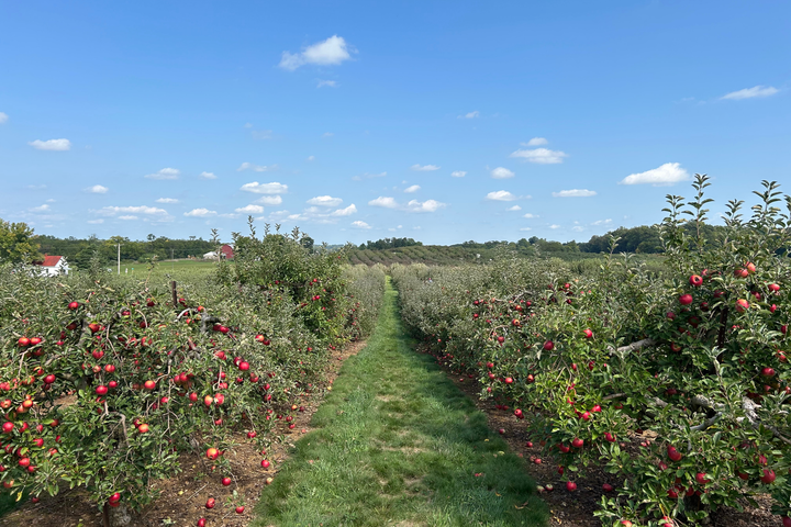 “Be the love you long for” by John Sayers