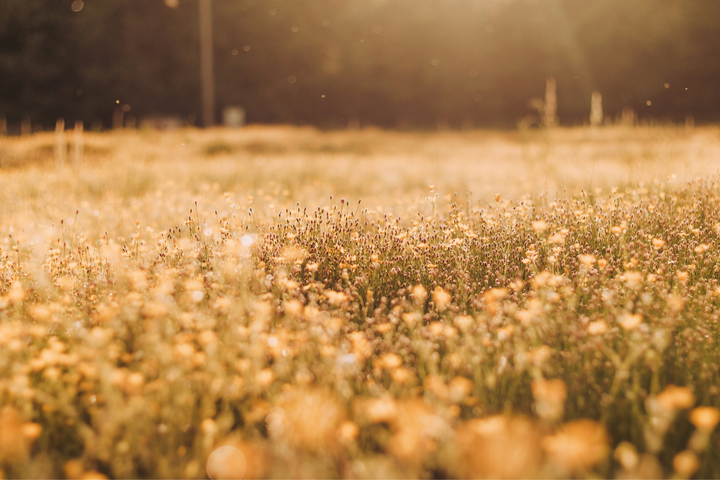 Should we redefine “love” and “friend”?