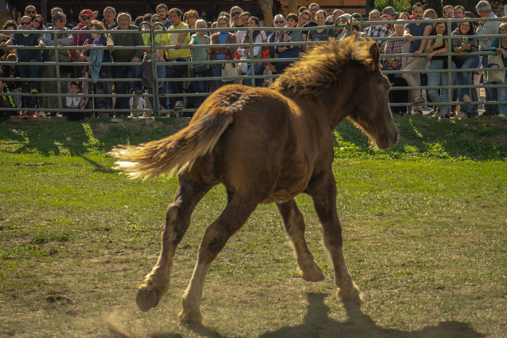 "Patience, me" by John Sayers