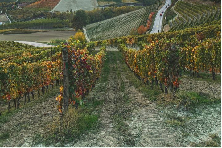 My spiritual journey with Parkinson's