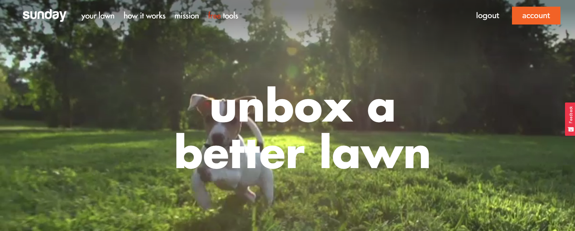 Sunday's Marketing Strategy: Growing a Lawn Care Subscription Box to $100m in Sales
