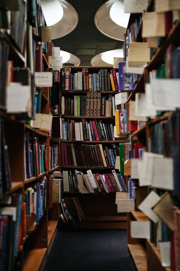 Loved or lonely? Why libraries should still matter.