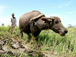 Screen Shot 2012-03-20 at 10.06.58 AM