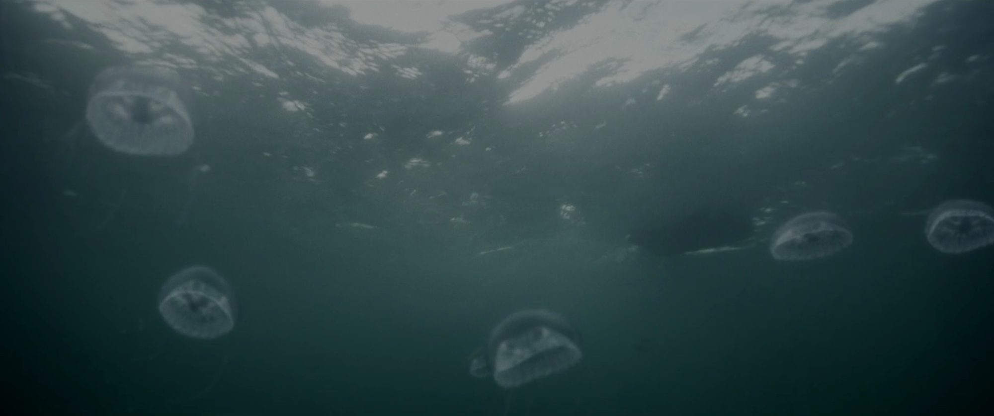 Screenshot 2018-11-11 17.35.36