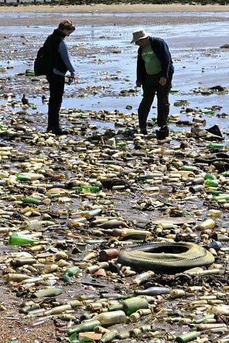 Walking along at low tide
