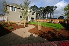 backyard, four months later