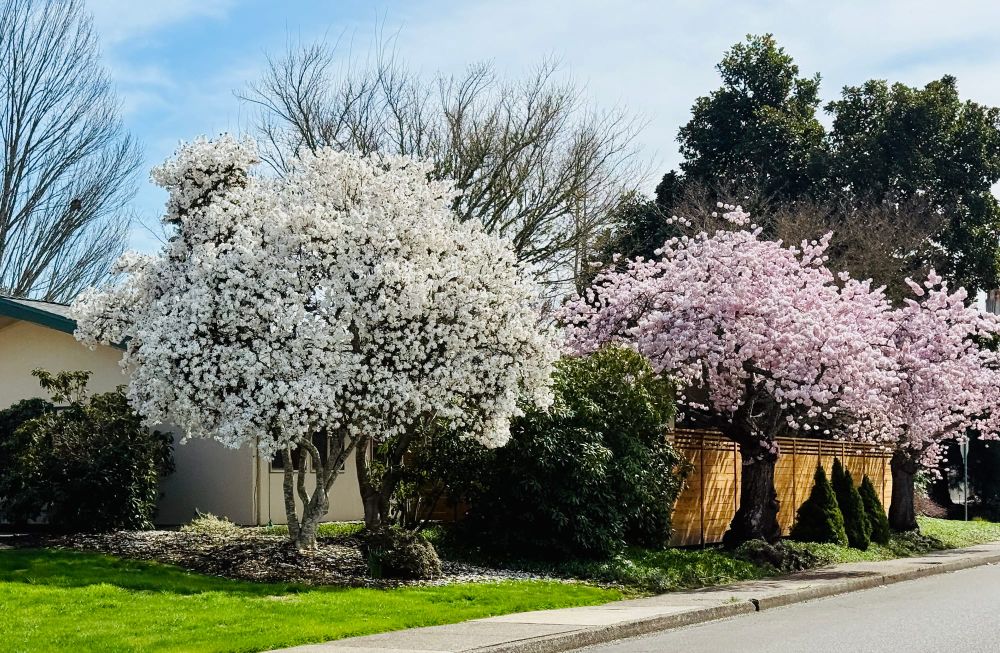 Links for March 27, 2025