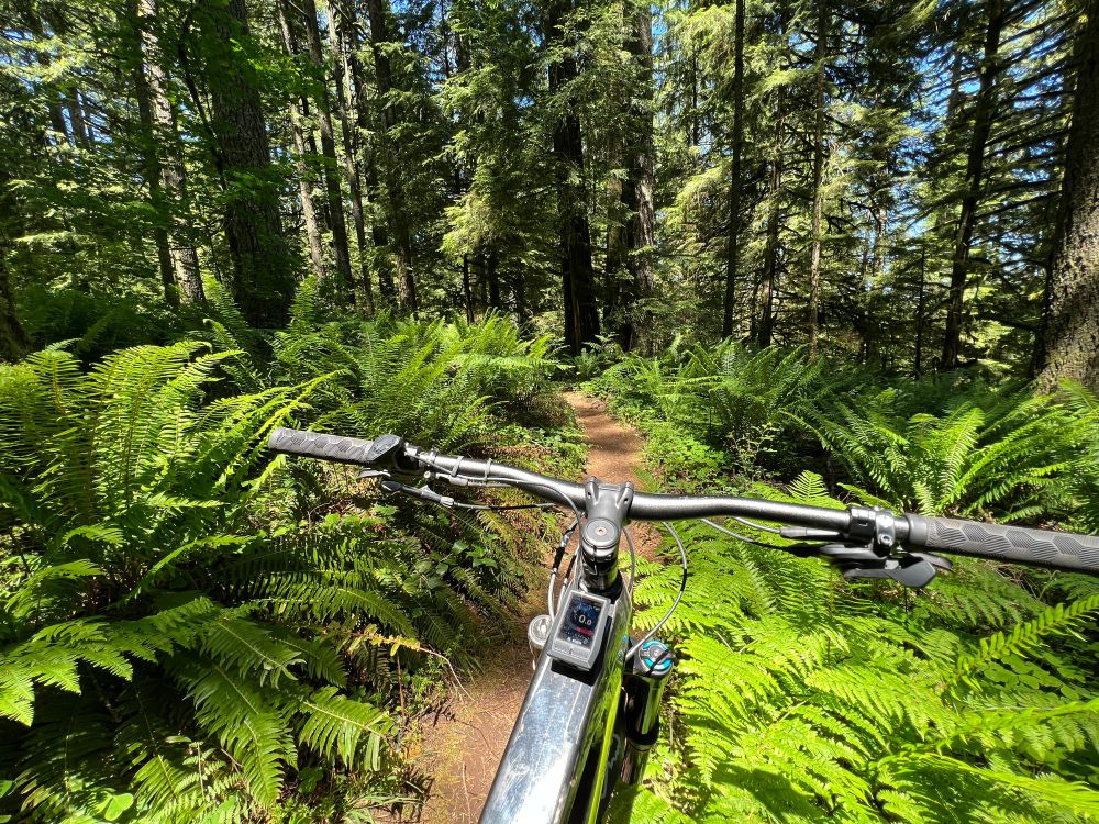 E-bikes are a *thorny* issue for trails and parks