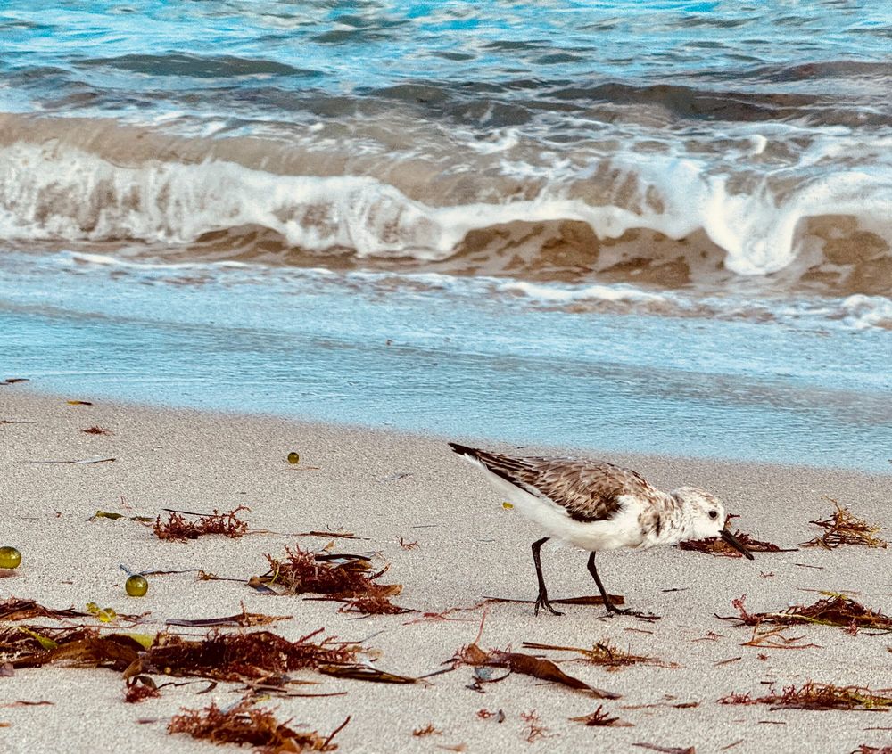 An unexpected Tesla Model 3 review