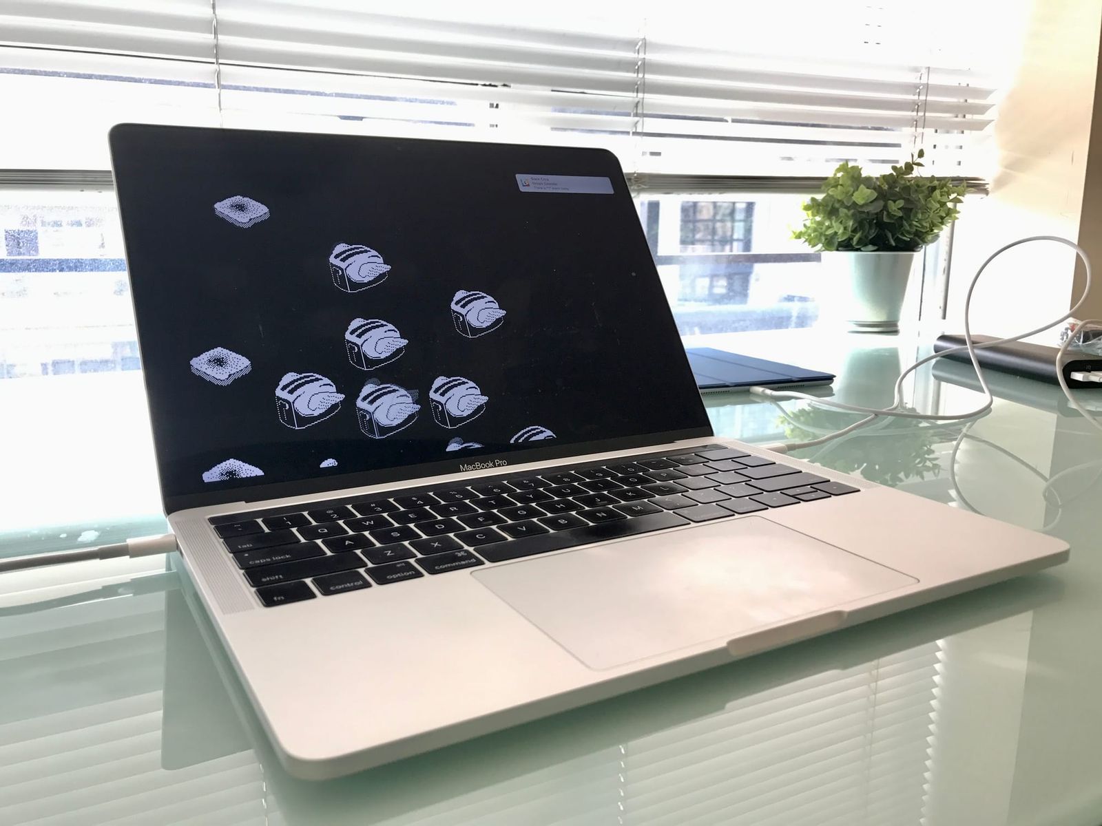 Should you upgrade to MacOS and iOS public betas? (no)