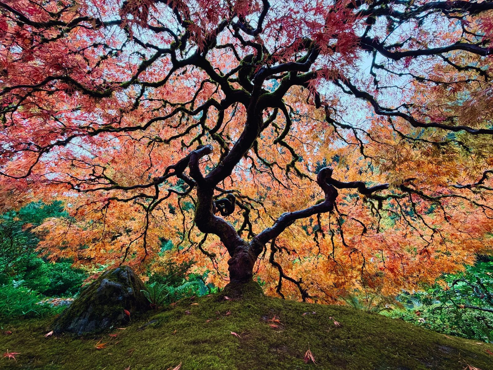 Chasing the last of the Fall color