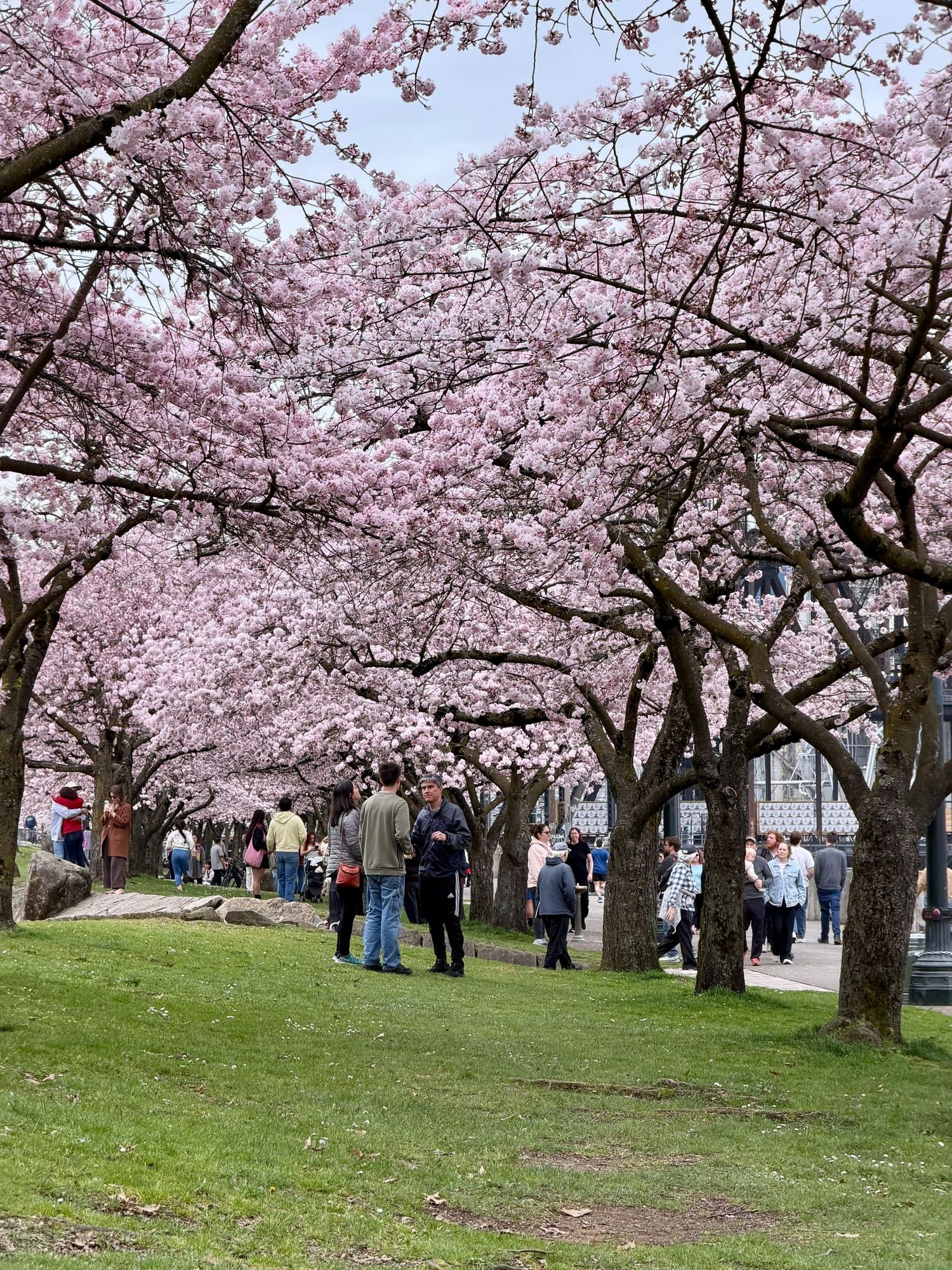 A thing we should acknowledge about AI