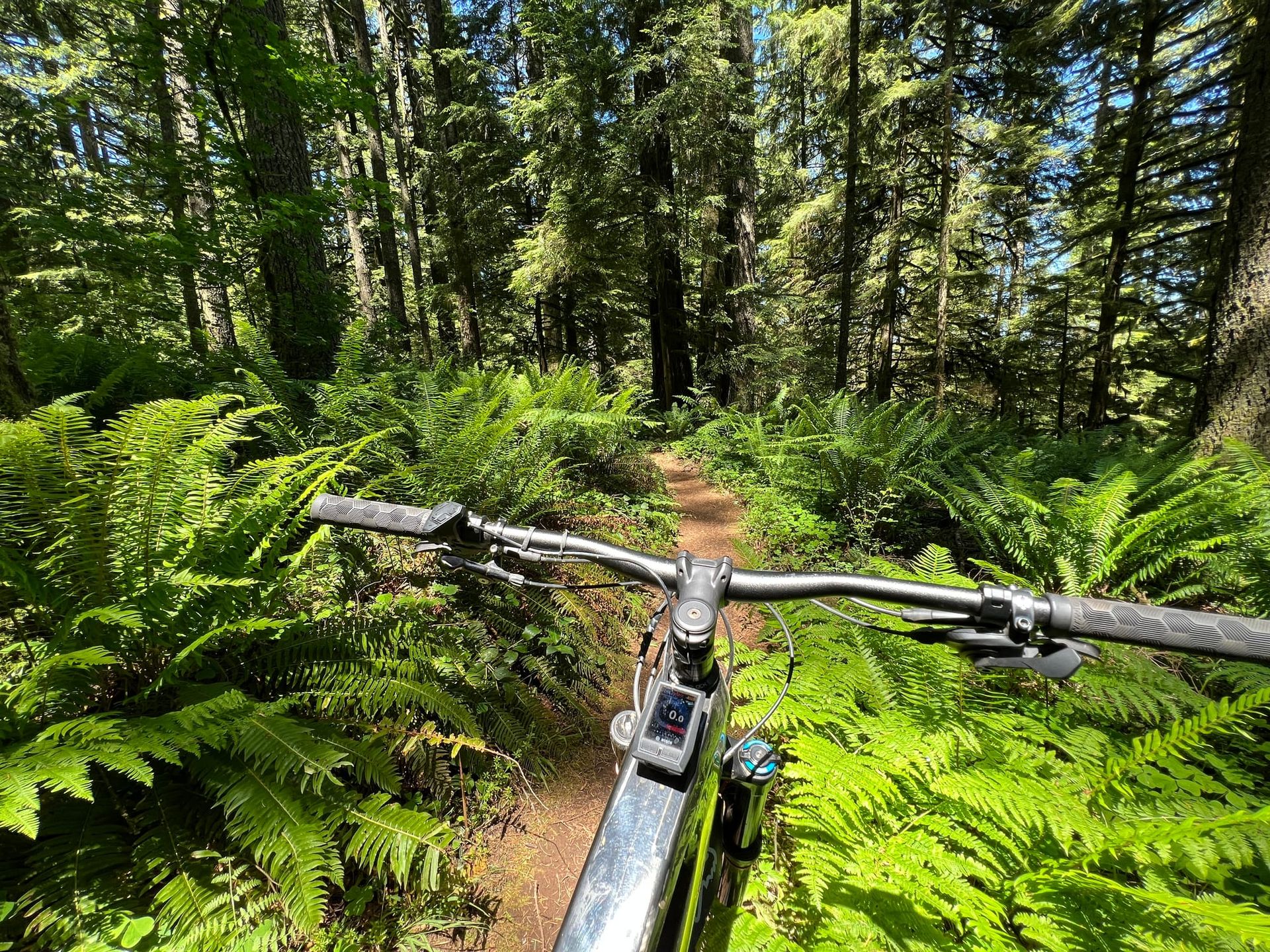 E-bikes are a thorny issue for trails and parks