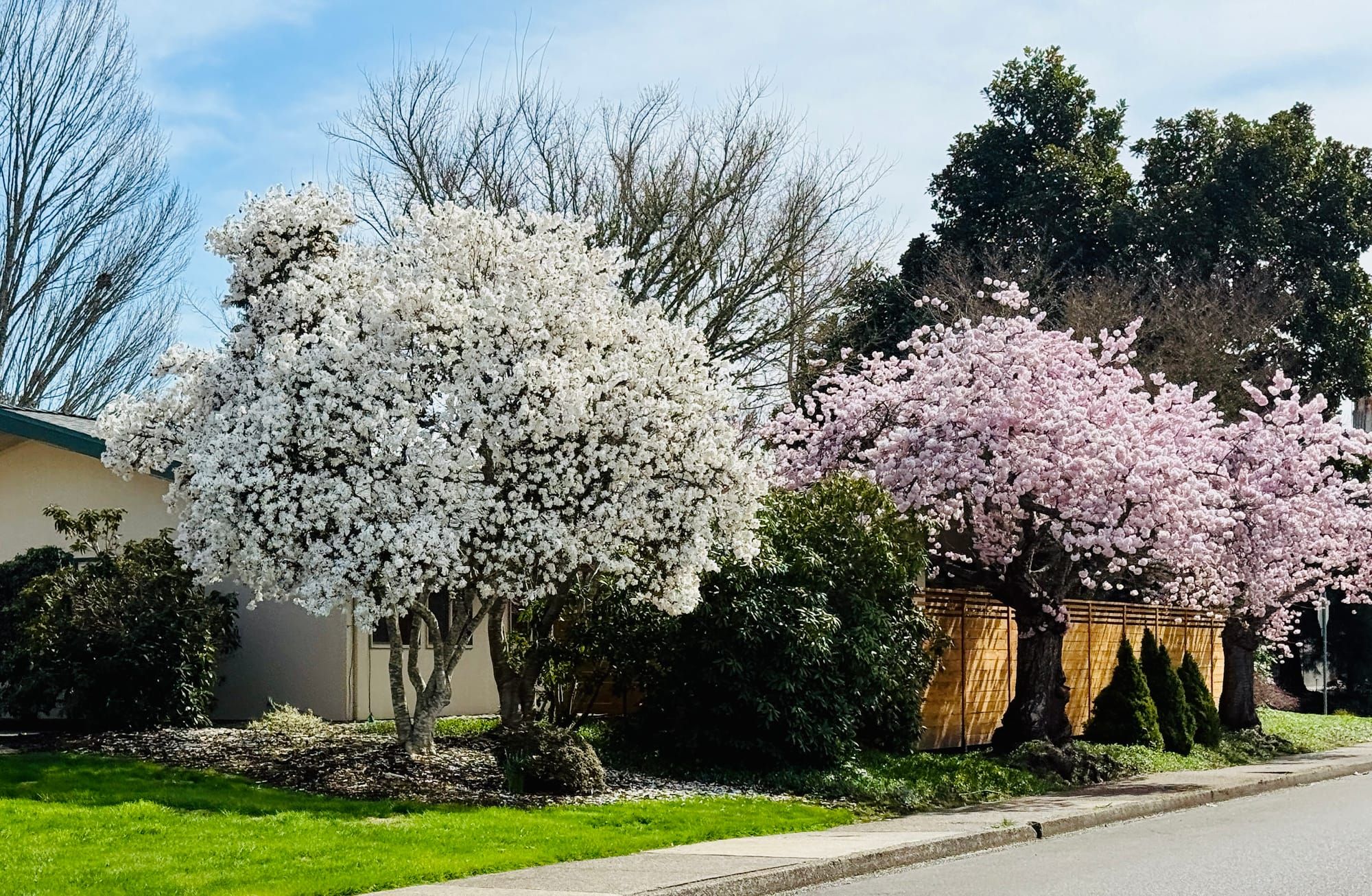 Links for March 27, 2005