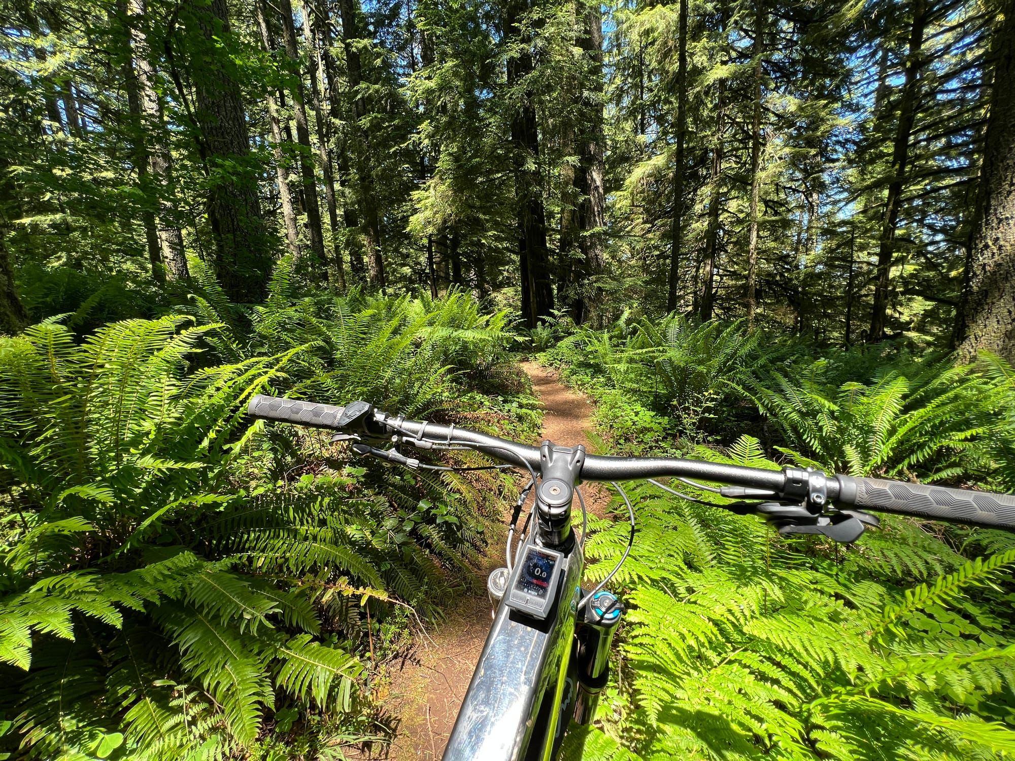 E-bikes are a *thorny* issue for trails and parks
