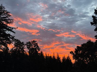 The most obvious case for universal healthcare