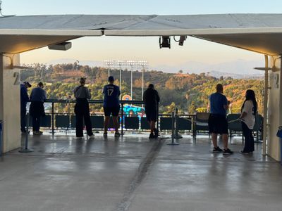 Food reviews during the federal occupation of LA
