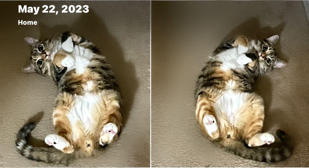 Overwhelmed by to-do lists