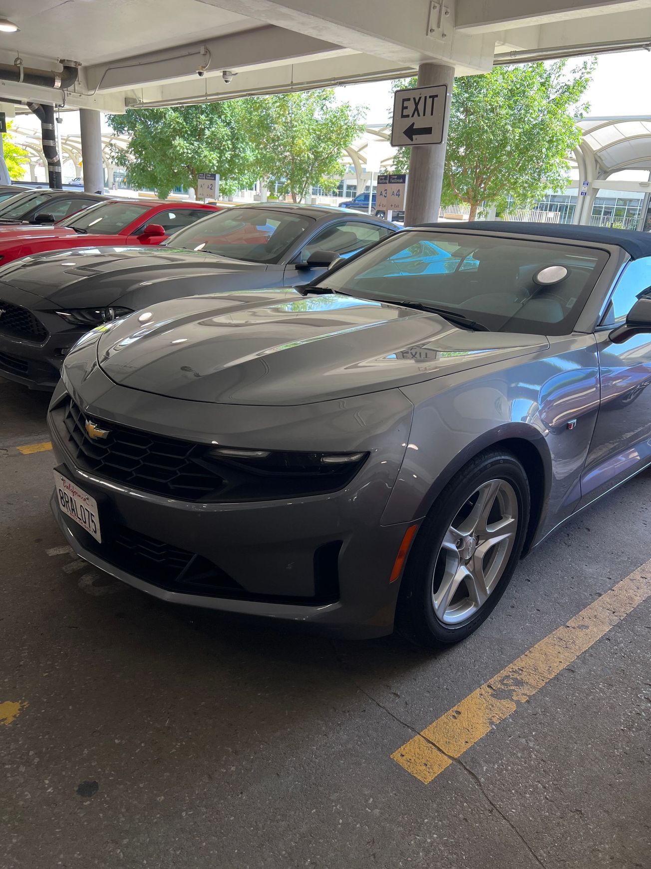 Авто в рент в Штатах