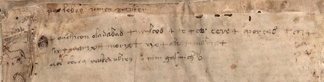 Detail from the Voynich Manuscript, Beinecke Library, Yale University (Public Domain) 