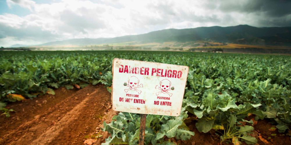Industrial agriculture is not sustainable / iStock