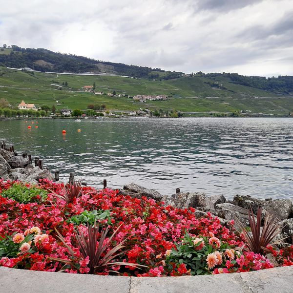 LE TOUR DU LAC LÉMAN 2022