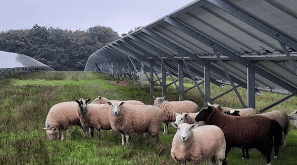 Grant Funding from Great British Energy!