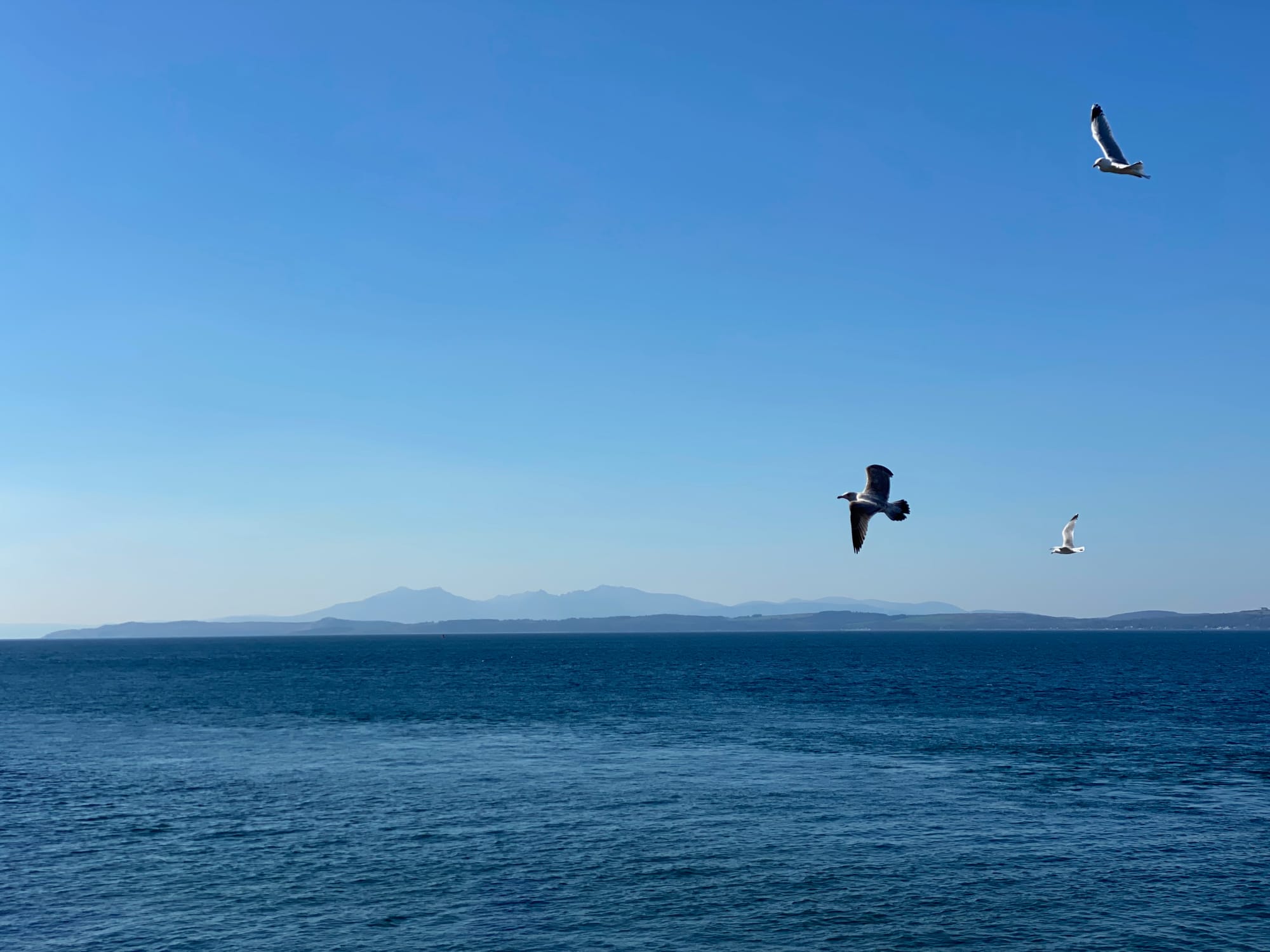 A day doon the Clyde, meditations on social media and sandwich philosophy