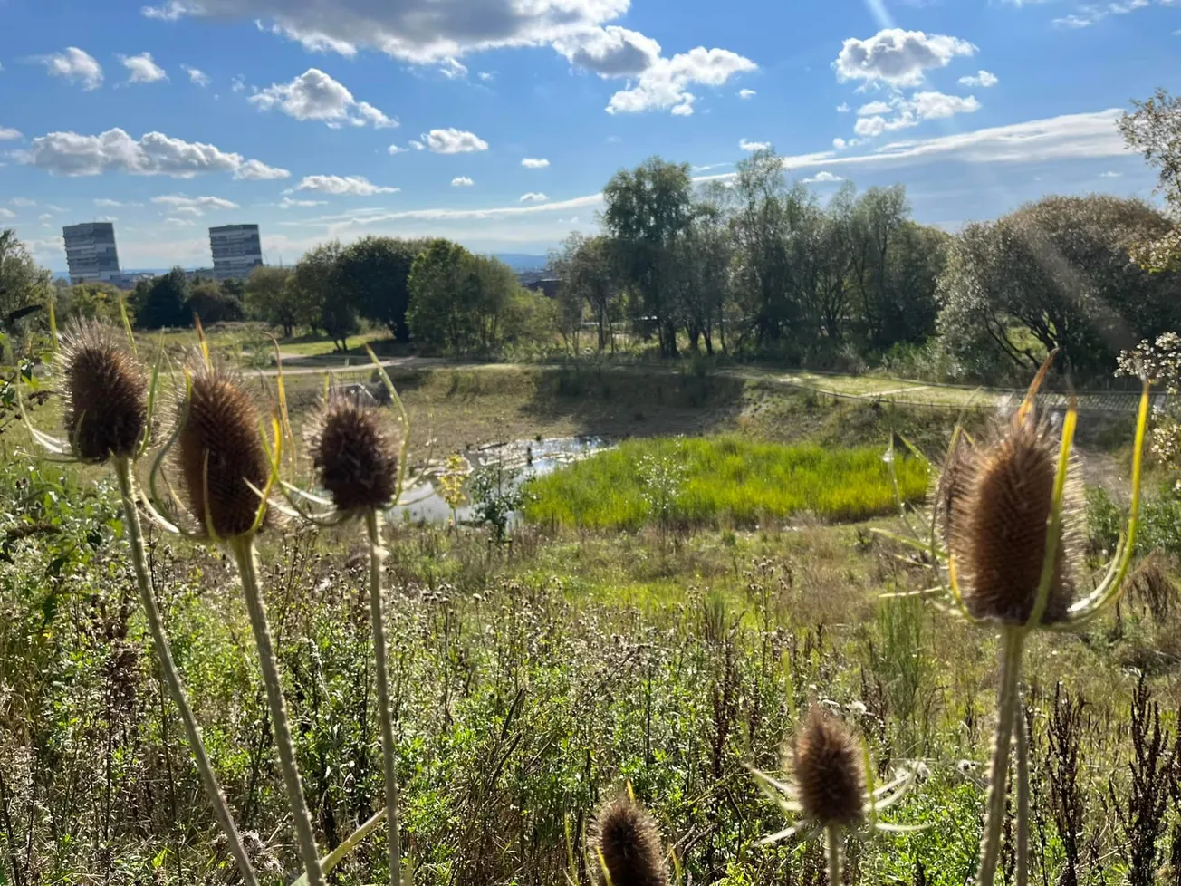 Claypits and Blue Tits