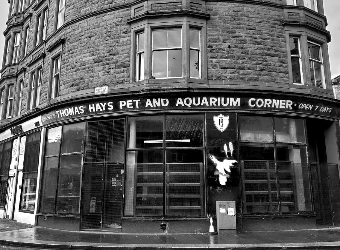 The last days of Thomas Hays Pet and Aquarium Corner