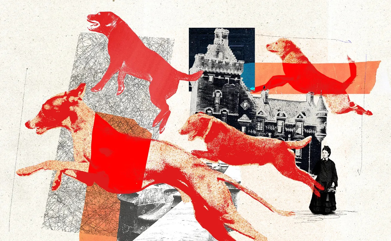 Debunking Dumbarton’s doggy suicide bridge