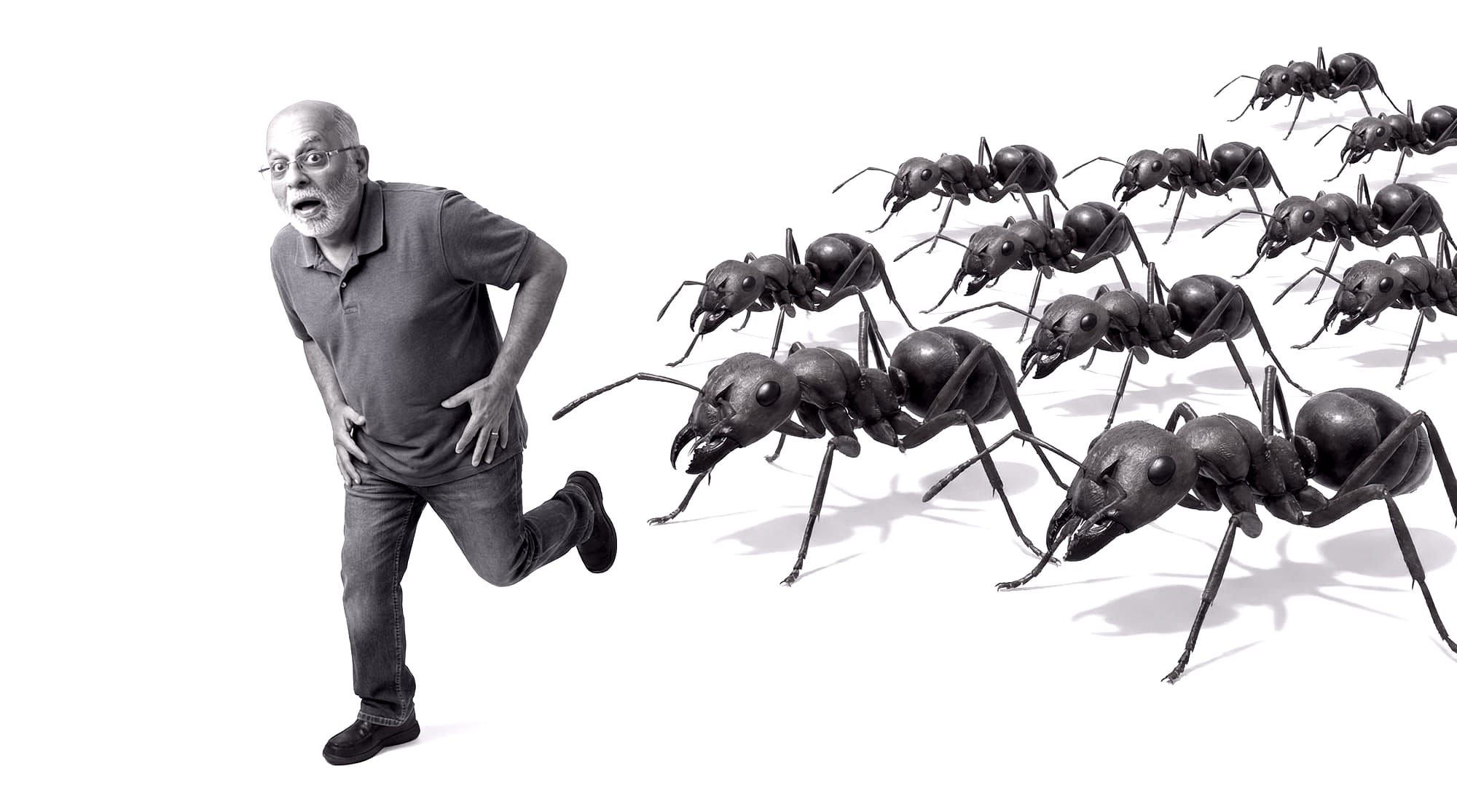 Swarm intelligence
