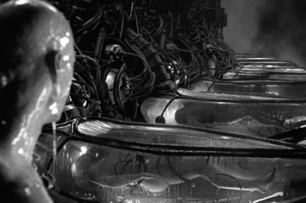 Family in NavBar. Philosophy in the links. Chaos in data centers