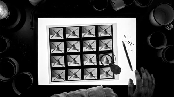Tenacity Makes Twenty. Curation Keeps One.
