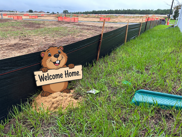 039 Newsletter, Oct 8th 2026