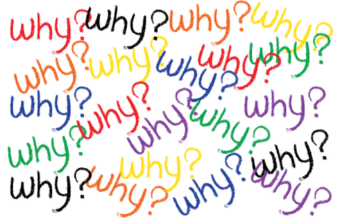 What You Focus On Grows