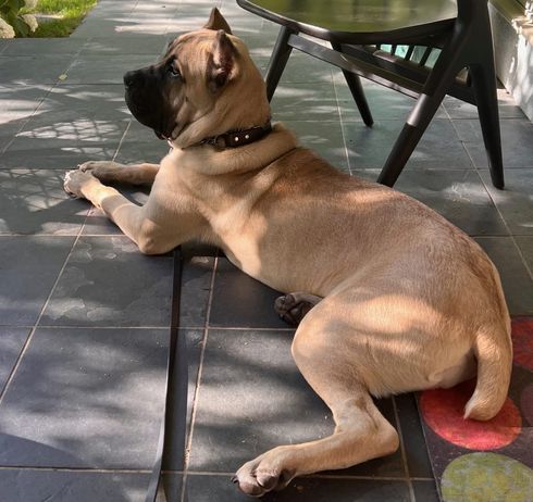 When the Shit Hits the Fan.....