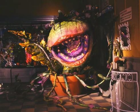 The Little Shop of Horrors