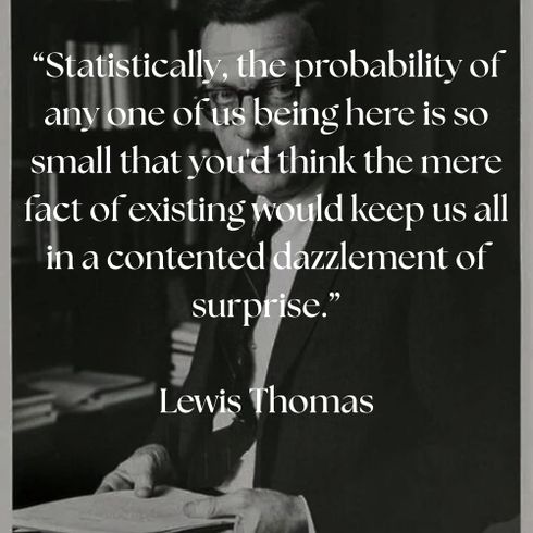 Fortuitous Concatenations