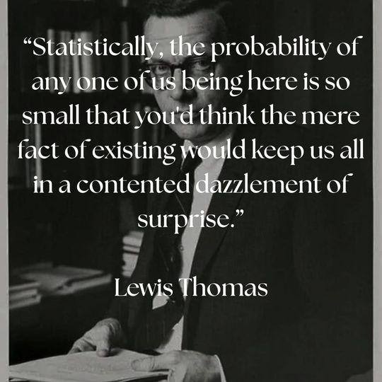 Fortuitous Concatenations