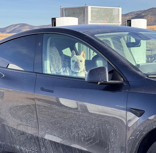 Pattern Interruptions